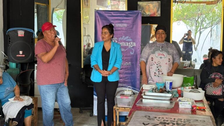 Promueve Celia Bonaga talleres para activar la economía familiar 