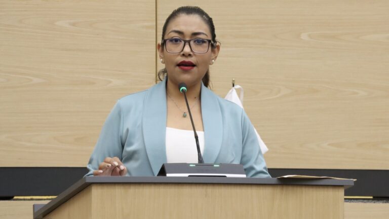 Impulsan Pavel Gaspar y Leonela Martínez tipificar el transhomicidio en Puebla