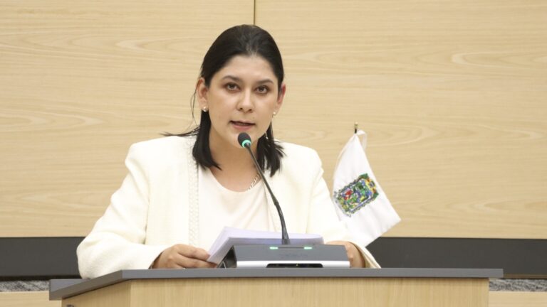 Reconocer la rapiña como delito, propone la diputada Ana Lilia Tepole