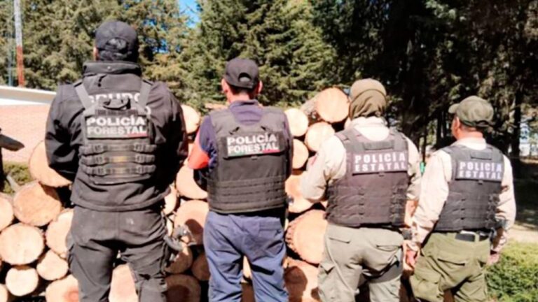 Con operativo interestatal fueron asegurados más de 90 troncos de madera