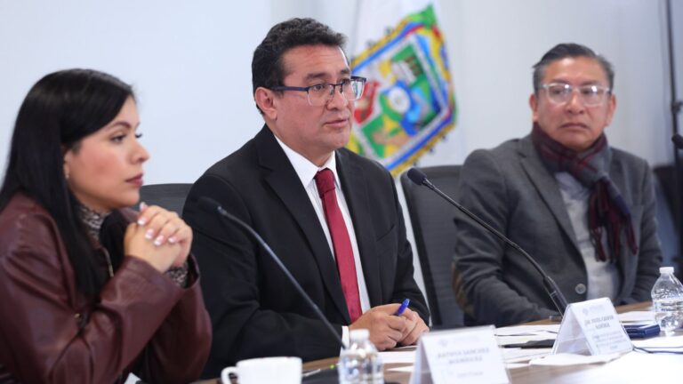 LXII Legislatura, comprometida con la ciudadanía y visitar sus distritos: Pavel Gaspar