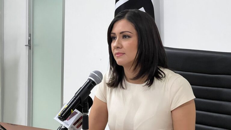 Ocho poblanos buscan un lugar en el INE, Blanca Cruz presidenta del IEE se apunta