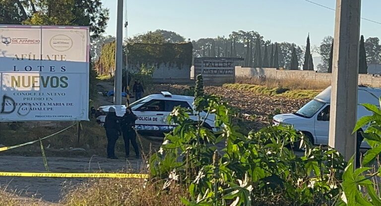 Hallan dos cuerpos embolsados en San Sebastián de Aparicio