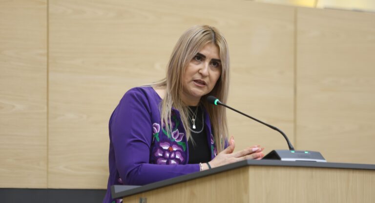 Ante el Pleno del Congreso, comparece la titular de la Fiscalía General del Estado 