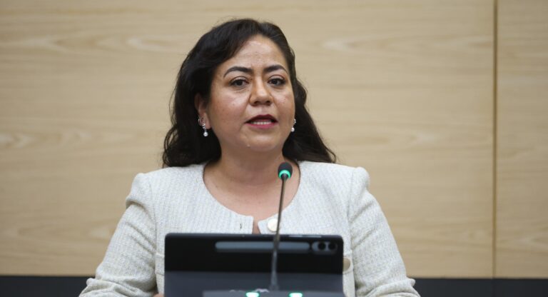 Impulsa diputada Celia Bonaga regular la coordinación entre seguridad pública y privada en fraccionamientos