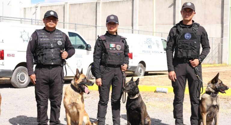 Unidad Cinotáctica K9 de Centros Penitenciarios obtiene certificación: SSP