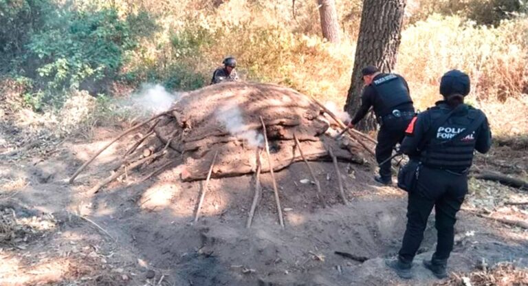 Elimina Policía Forestal seis hornos clandestinos para procesar madera