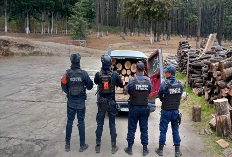 Con Operativo Interestatal Puebla–Tlaxcala, se aseguran más de 70 troncos de madera