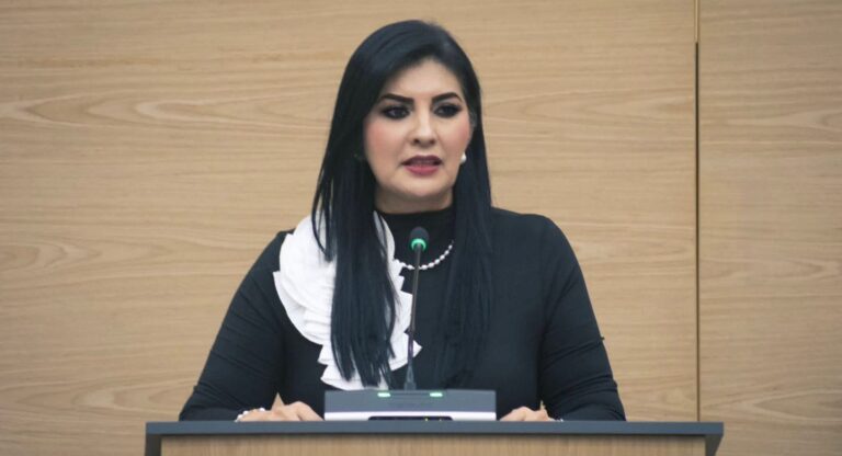 Propone Delfina Pozos endurecer sanciones por abandono de personas cuando derive en lesiones o muerte 