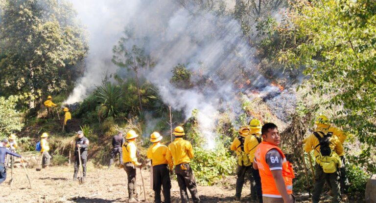 Gobierno de Puebla combate incendio en Chilchotla