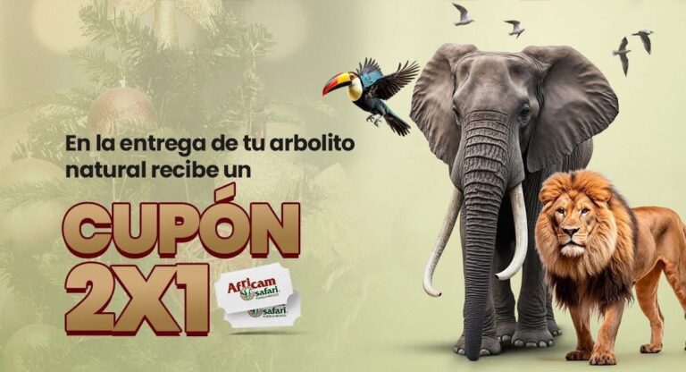 “Verde Navidad” de Africam Safari llega a San Pedro Cholula