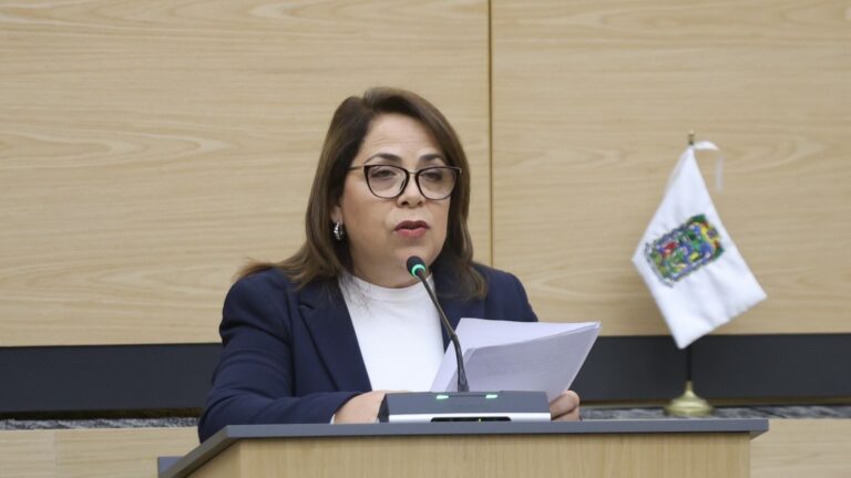 Presenta diputada Ferdrha Isabel Suriano iniciativa para fomentar industrias creativas y culturales en comunidades indígenas