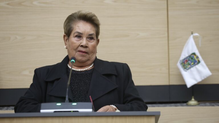 Recibe Congreso exhorto de la diputada Araceli Celestino para reforzar la vigilancia durante carnavales 