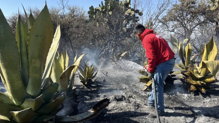 Control oportuno de incendio en faldas del Cerro Monumento