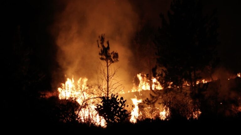Controlado en 95% el incendio en el Cerro Zapotecas, no hay riesgo para la población