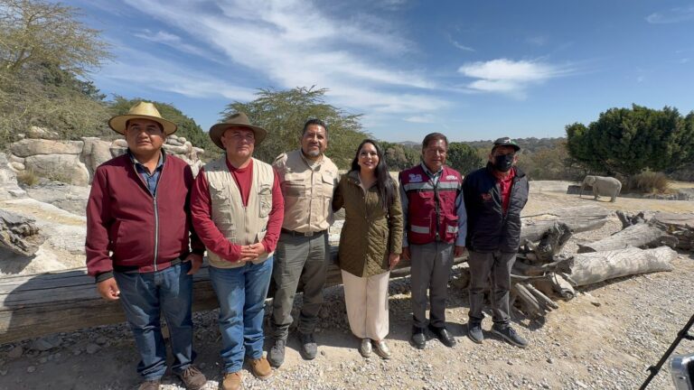 Boletos al dos por uno por tu Arbolito navideño en Africam Safari
