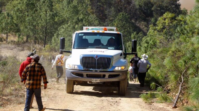 Controlado el incendio en Vicente Guerrero, está liquidado al 90%: Protección Civil