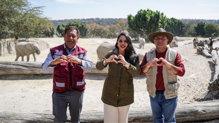Entrega Tonantzin Fernández 270 árboles navideños naturales a Africam Safari