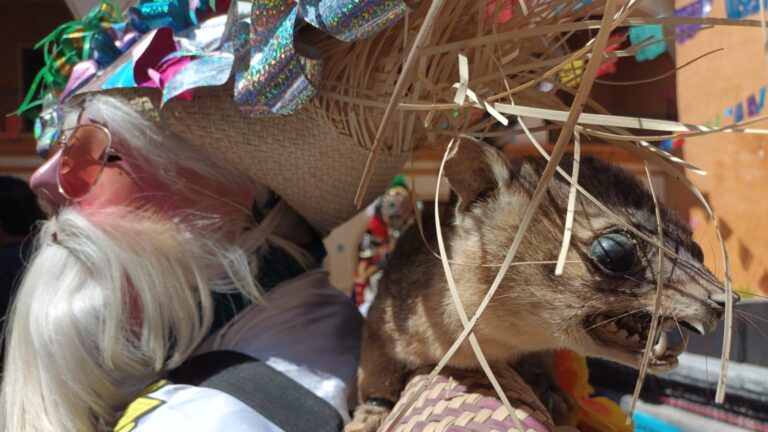 Promueve Tonantzin Fernández el Carnaval de San Pedro Cholula a nivel estatal