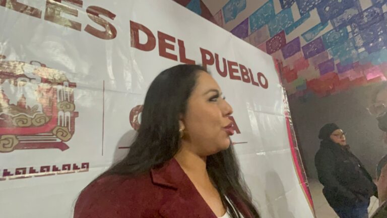 Tonantzin Fernández estará en informes de ediles auxiliares