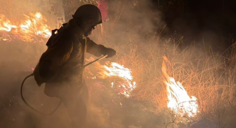 Gobierno de Puebla ha liquidado 88 incendios forestales