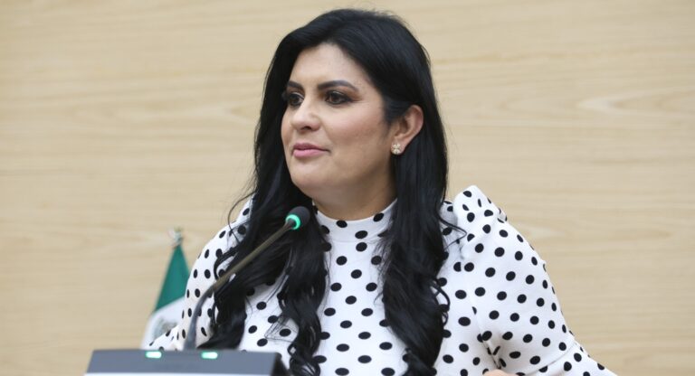 Delfina Pozos solicita informe y auditoría sobre sistema de videovigilancia en Puebla 