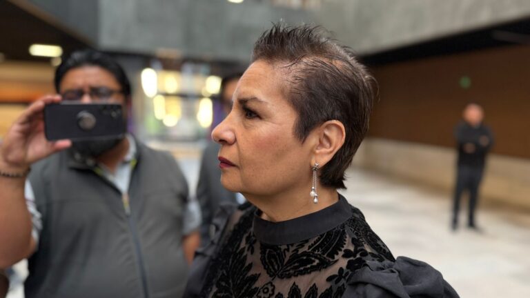 Reforestación por la construcción del Cablebús está garantizada