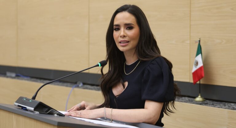 Presenta diputada Graciela Palomares acuerdo para fortalecer acciones contra el trabajo infantil