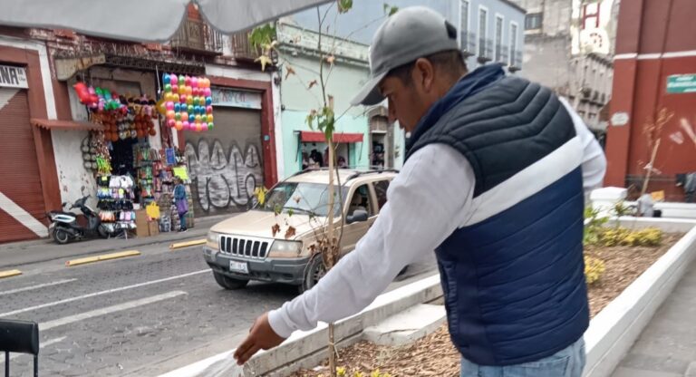 Gobierno de Pepe Chedraui impulsa el mantenimiento integral en la Plazuela Sor Juana Inés de la Cruz