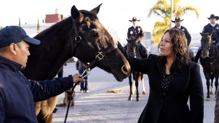 En Ceremonia Lupita Cuautle retira ejemplares de la Policía Montada y Unidad Canina