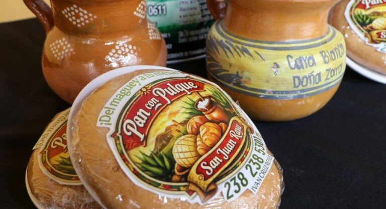 Pulque, gastronomía y cultura en Eco Festival Regional de Zapotitlán Salinas