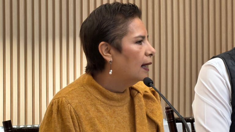 Construcción del Cablebús está apegada a las normas ambientales, no provocará ningún daño a la ecología