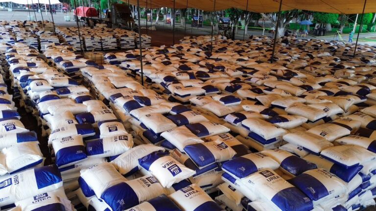 Roberto Solís beneficiará a más de 2 mil productores con el programa de fertilizante municipal