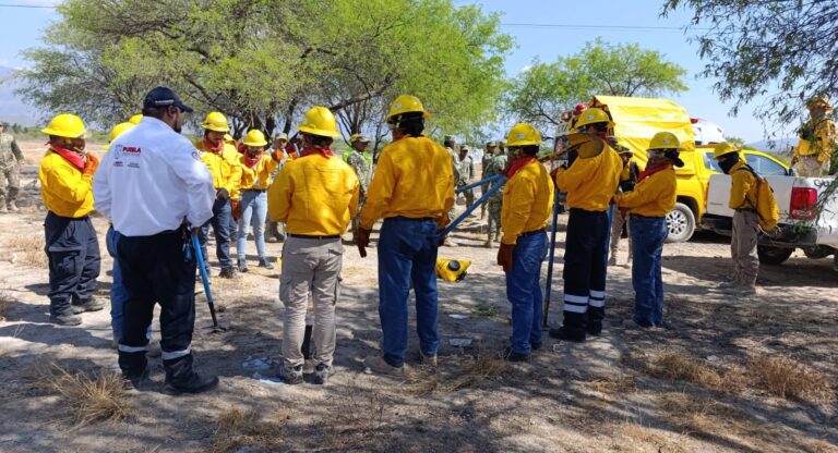 Brigadistas de Protección Civil amplían habilidades contra incendios forestales
