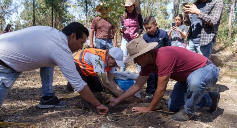 Refuerza gobierno de Pepe Chedraui acciones de reforestación en la capital poblana