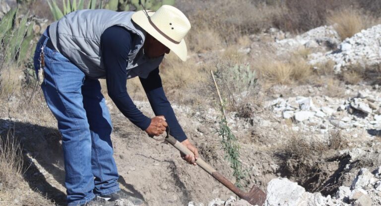 Participa Mateo Hernández en jornada de reforestación en el Cerro del Águila