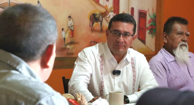 Impulso a la economía regional, prioridad para la Mixteca poblana: Pável Gaspar