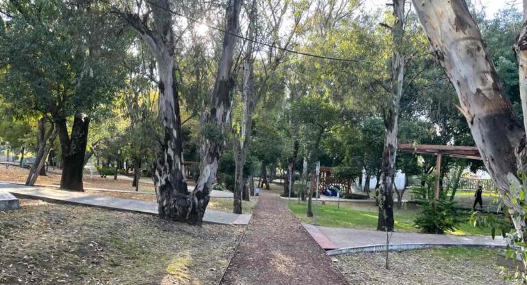 Preservar los parques ‘Juárez’ y Ecológico: un llamado ante el proyecto de cablebús en Puebla