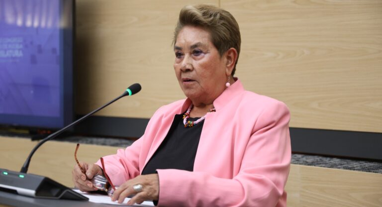 Presenta diputada Modesta Delgado propuesta legislativa contra acoso sexual callejero y en el transporte público