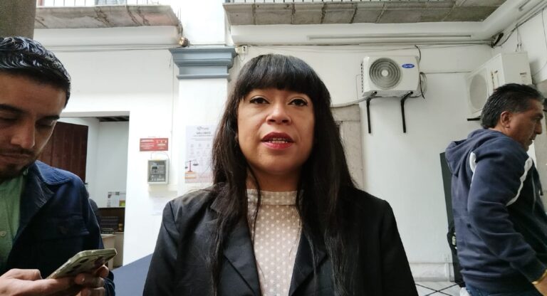 Suman 120 gatos abandonados en el Panteón Municipal, reciben atención