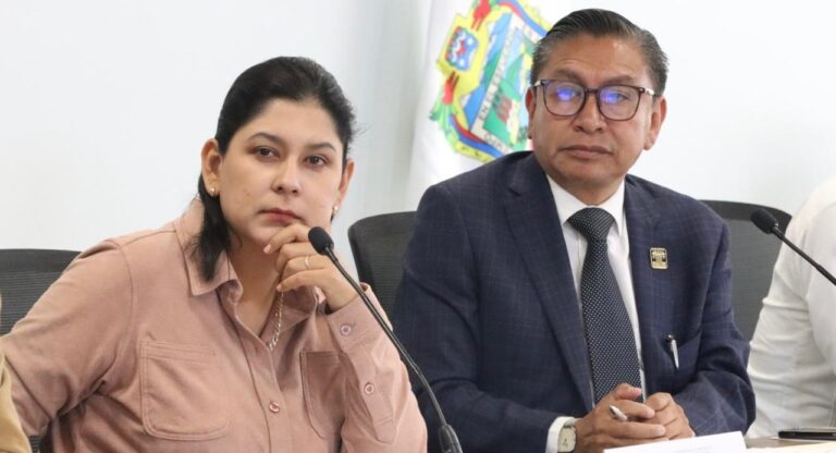 Comisión del Congreso aprueba reforma para transferir semanas de licencia de maternidad en caso de parto anticipado