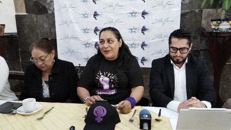 Garantizada la seguridad para la marcha del próximo 8 de marzo