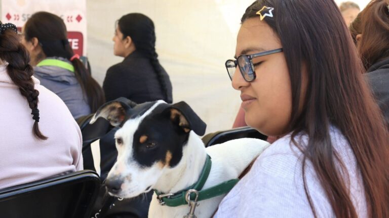 Pepe Chedraui impulsa jornadas de bienestar animal en distintas colonias de Puebla