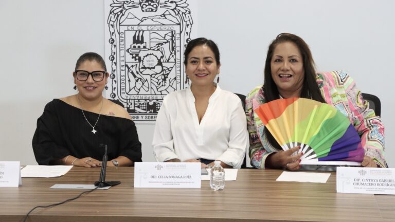 Impulsa Congreso inclusión de personas con discapacidad visual en Puebla