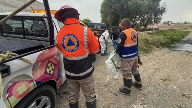 Gobierno de Huejotzingo condena crueldad animal y llama a fortalecer el respeto a la vida de los seres sintientes