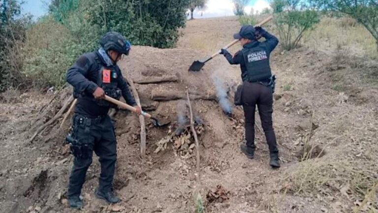 Con operativos, SSP fortalece protección al medio ambiente