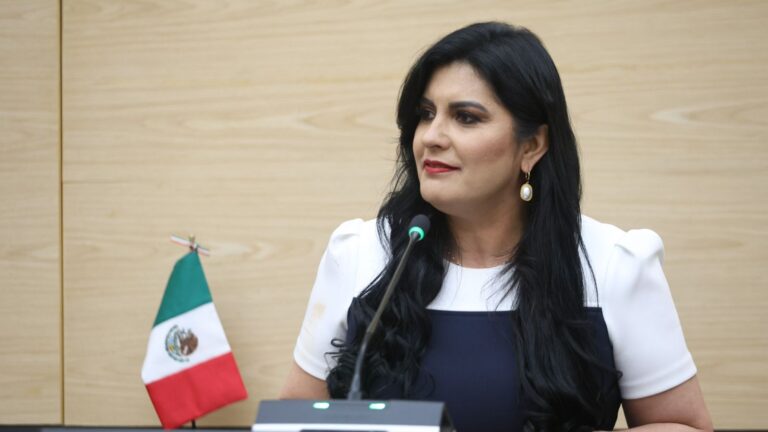 Delfina Pozos presenta iniciativa para garantizar servicios de salud en emergencias médicas