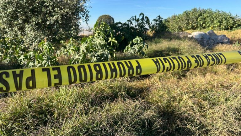 Encuentran cadáver embolsado en terrenos de cultivo de Coronango