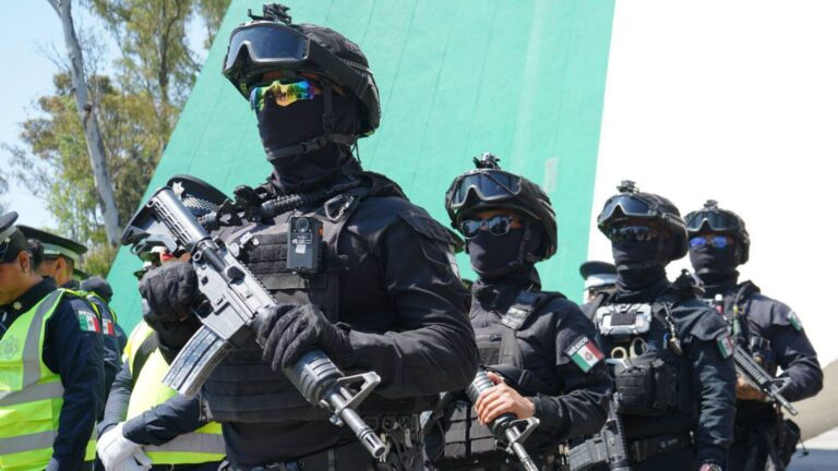 Acciones operativas e interinstitucionales permiten la detención de 80 personas