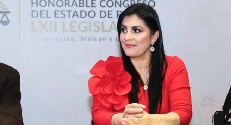 Delfina Pozos propone fortalecer la participación ciudadana en seguridad pública 